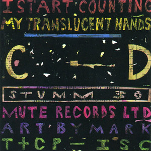 My Translucent Hands cover