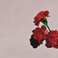 Love in the Future cover
