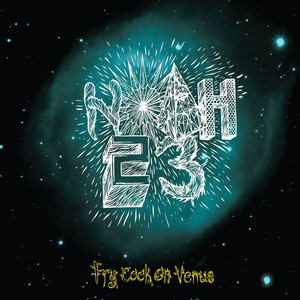 Fry Cook On Venus cover