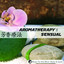 Aromatherapy 5 : Sensual - Music For The Mind, Body & Spirit! Albumcover