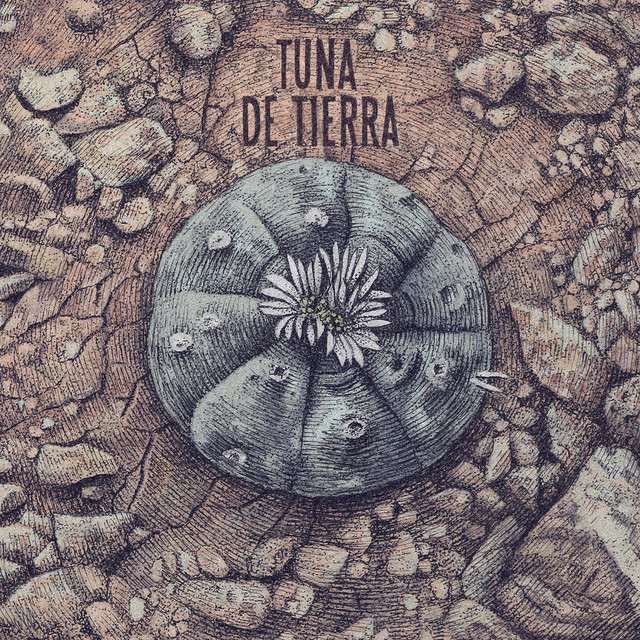 Tuna de Tierra Photo