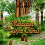 Meditation with Wind Chimes Albumcover