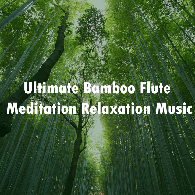 Zen Bamboo Photo
