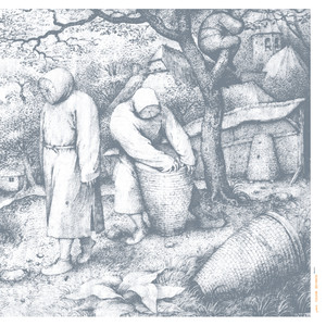 White2 cover