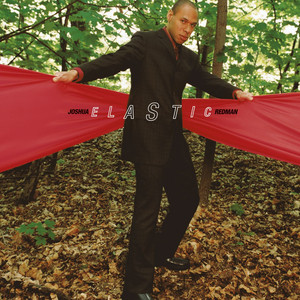Elastic album