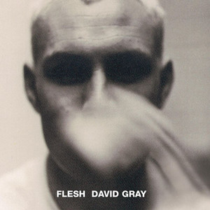 Flesh album