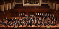 National Symphony Orchestra profile