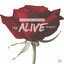 The Alive Project cover