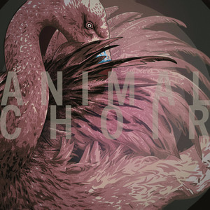 Animal Choir cover