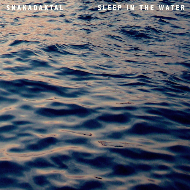 Sleep In The Water cover