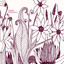 Strangely Beautiful cover
