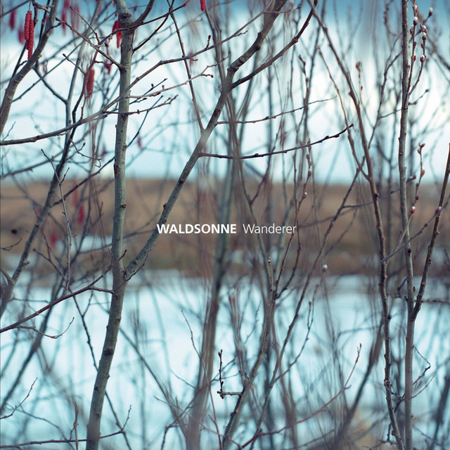 Waldsonne Photo