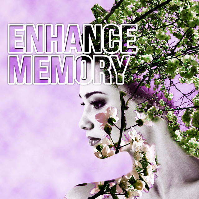 Enhance Memory – Exam Study, Focus and Mindfulness, Increase Brain Power, Nature Sounds Albumcover