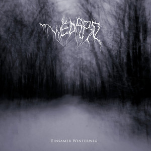 Einsamer Winterweg cover
