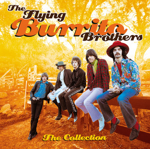 The Collection album