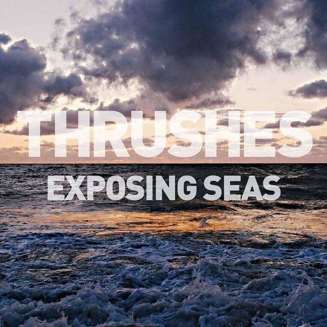 Exposing Seas cover