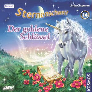 Teil 14: Der goldene Schlüssel