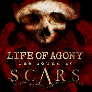 The Sound of Scars cover