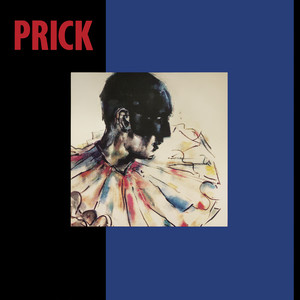Prick cover