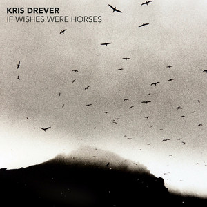 If Wishes Were Horses cover