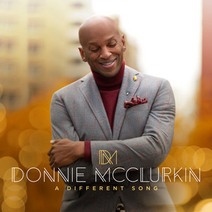 A Different Song cover
