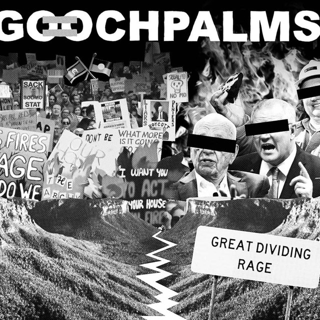 The Gooch Palms photo