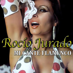 Mi Cante Flamenco album