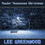 Tender Tennessee Christmas cover