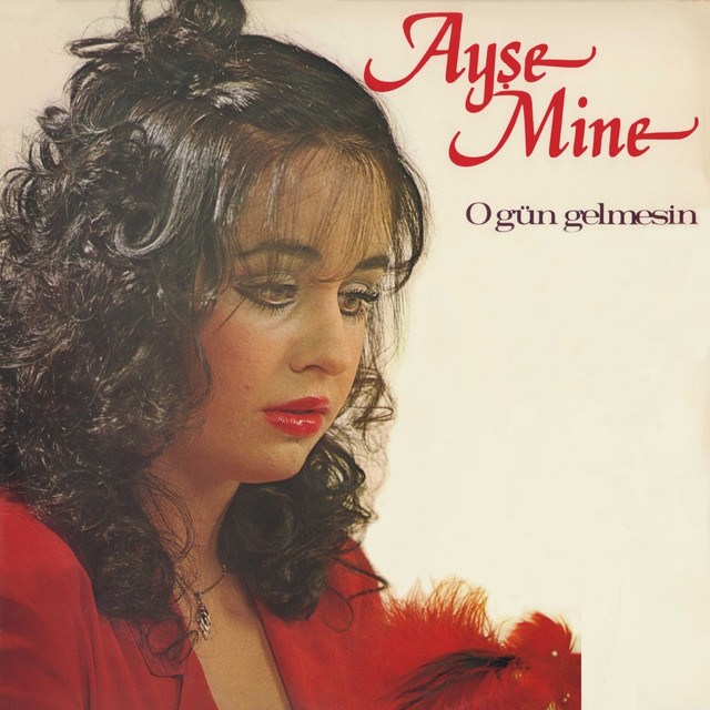 Ayşe Mine Photo