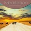 Meditation Vol. Brown Albumcover