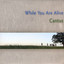 While You Are Alive cover