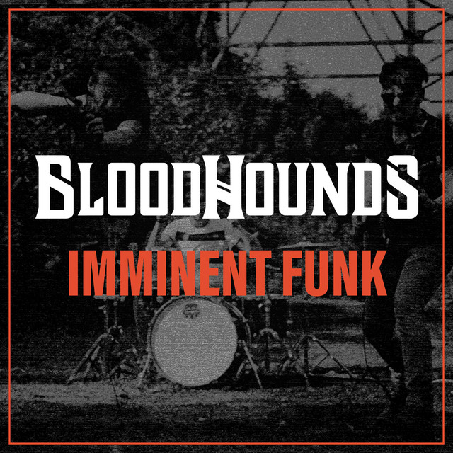 Image result for bloodhounds imminent funk