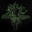 Rareform [Re-Issue] cover