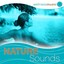 Wellness Music: Nature Sounds Albumcover