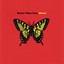 Closer cover