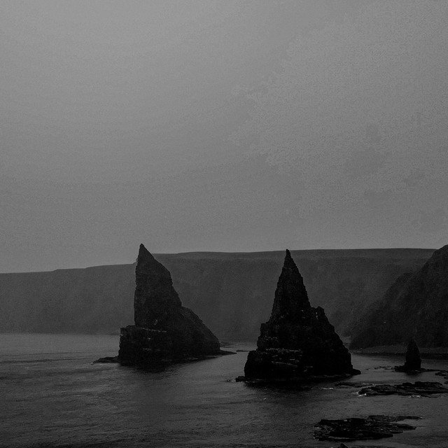 Gråt Strigoi Photo