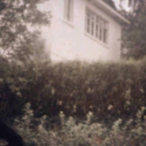 Backyard Cemetery II cover