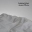 Still Gleams On Hummocks Albumcover