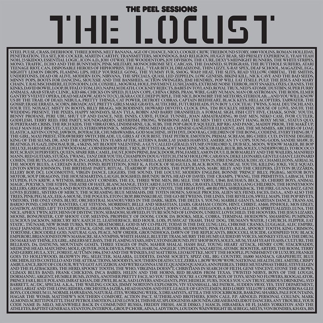 The Peel Sessions Lp cover
