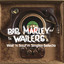 Wail'n Soul'm Singles Selecta cover