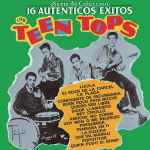 Serie De Colección 16 Autenticos Exitos album