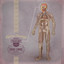 Lyrical Theology, Pt. 1: Theology cover