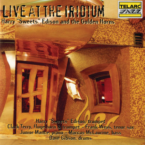 Live at the Iridium cover