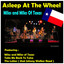 Miles and Miles of Texas cover