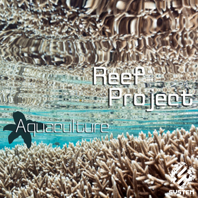 Reef Project Photo