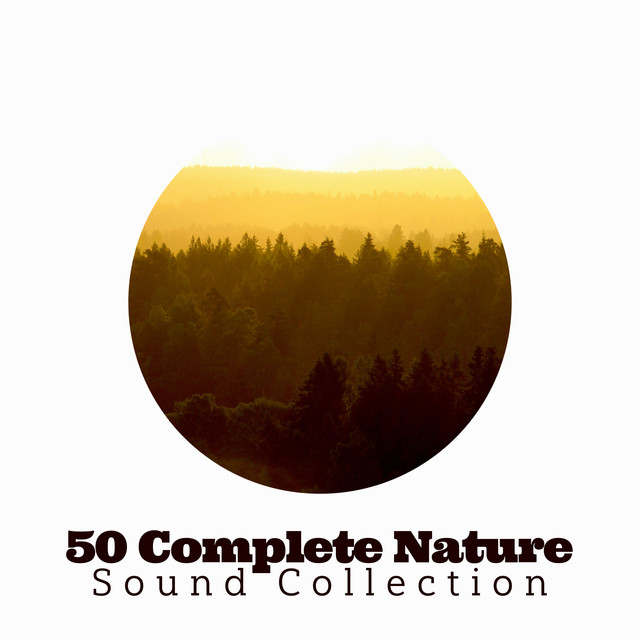 50 Complete Nature Sound Collection