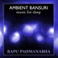 Ambient Bansuri Albumcover