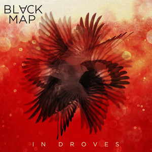 In Droves album
