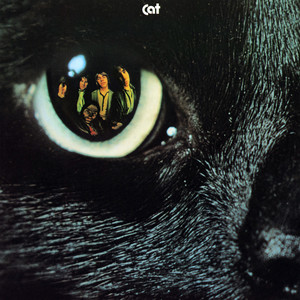 Cat Albumcover