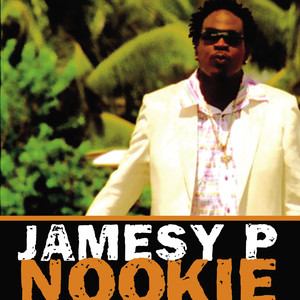 Nookie - Radio Edit cover